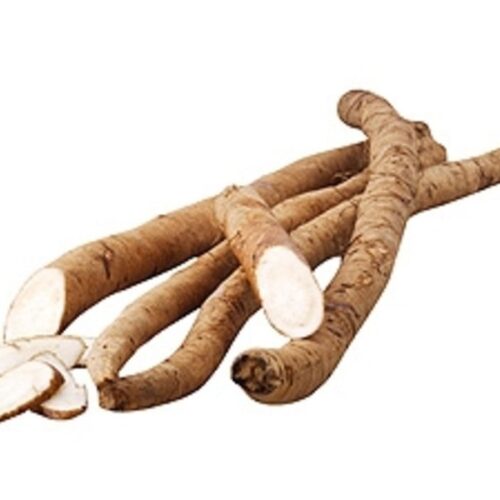 CN Burdock/Gobo Roots New